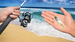 EPIC Saltwater Beach Fishing!! (Catch Clean Cook)