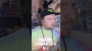 Nirvana Pennyroyal Tea Ukulele Cover!