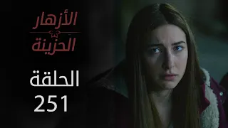 مسلسل الأزهار الحزينة | الحلقة 251 - الموسم الثاني