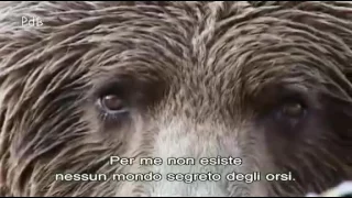 [SUB ITA] Herzog sulla natura animale - Grizzly man/Herzog on animal nature (2003)