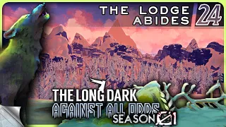 THE LONG DARK — Against All Odds 24 [S01]: The Lodge Abides | Tales Update 4 Stalker+ Gameplay