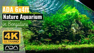 ADA 6x4ft Special - 4K Showcase: For Those Who Can't Visit The ADA Gallery