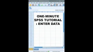 One-Minute SPSS Tutorial: How to enter data