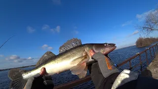 Люта риболовля на Дніпрі🦈. Водна поліція, чому так❓