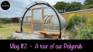 A Tour of our Polycrub (Polytunnel) - Vlog #2