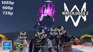 Watch Dogs 2 | Intel Pentium G5400 + GTX 1060 3gb