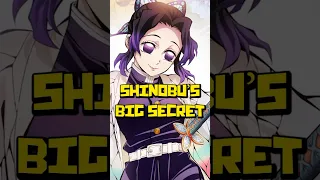 Shinobu Hides Something from Every Hashira | Demon Slayer Season 4 Insect Hashira Explained