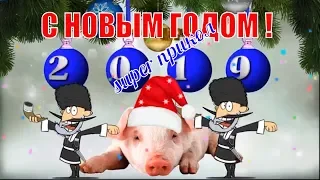 С Новым Годом🎄поздравляю прикольной новогодней лезгинкой в новый  год свиньи зажигаем🎄