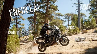 PARLONS HARLEY :  TOUT SAVOIR SUR LA PAN AMERICA 1250 !!!