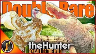 Mississippi Acres DOUBLE RARE! | Hunting for Trophy Gators, Quail, & More!