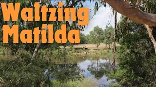 Waltzing Matilda - Day 274 from the Daily Ukulele (Yellow) Songbook