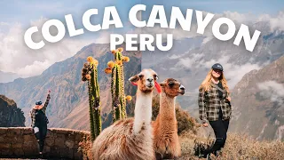 2 day Colca Canyon tour ⛰ Peru travel vlog