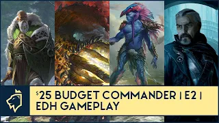 Fynn vs Thromok vs Talrand vs Odric | Budget Commander E2 | EDH Gameplay for Magic the Gathering