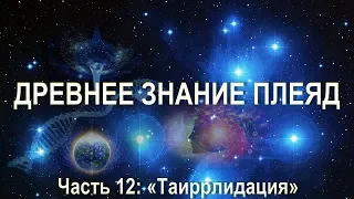 Таиррлидация на Звездолет. Орис. Серия: Звездный Дом. Часть 12.