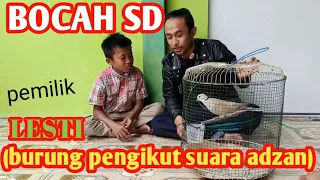 BOCAH SD - pemilik Lesti ( burung pengikut suara adzan)