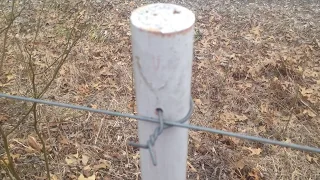 Episode #42. Greg Judy at Green Pastures Farm explaining low cost fencing for leased grazing