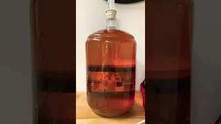 Showing How Bentonite Clay Clears Mead #Mead making #Brewing #Apricot Mead #Honey Wine #Wine Making