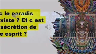 la dmt ou que se passe t'il quand on meurt ?