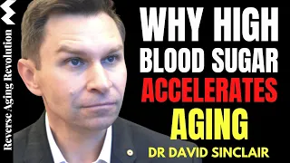 WHY High Blood Sugar ACCELERATES AGING & What We Can Do About it | Dr David Sinclair Interview Clips
