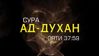 СУРА АД-ДУХАН ОЯТИ 37:59 ХАФИЗ ЯСЕР АЛ ДОСАРИ ❤️