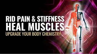 Upgrade Your Body Chemistry | Heal Your Muscles Bones Ligaments and Nerves | Rid Pain and Stiffness