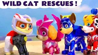 Cat Pack Rescue Stories with Wild