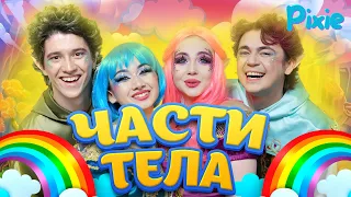 Части тела | Пикси детские песни