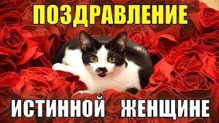 Поздравление с 8 марта 2021 В международный женский день лучшее поздравление с кошками и цветами!