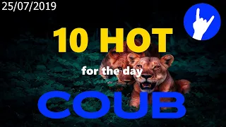 Hot Ten COUB for 25/07/2019