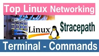 Linux Networking Command tracepath | Linux tutorial for beginners and experienced | Harisystems