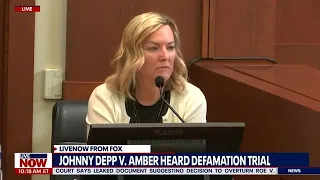 Johnny Depp trial: Amber Heard expert accused of ignoring evidence | LiveNOW from FOX