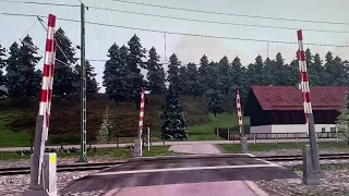 German Train over Weird Crossing TS2020