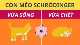 Con Mèo Của Schrödinger | Sự Bí Ẩn Của Vật Lý Lượng Tử