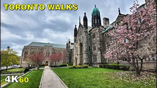 University of Toronto Downtown St George Campus Walk (April 30, 2021)