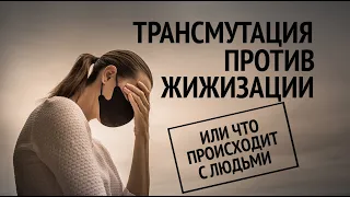 ТРАНСМУТАЦИЯ ПРОТИВ ЖИЖИЗАЦИИ