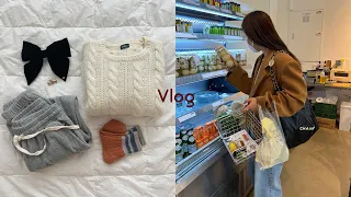 VLOG, 식집사로 가는 길🌴 , 브라운 골드블링한 나의 가을 아이템들, 계란피클 사고 홀린듯 통닭 마시고? 인천에서 대하냠냠🦐 하며 보낸 일상브이로그