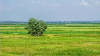 Не нужен нам берег турецкий,  донская степь роднее