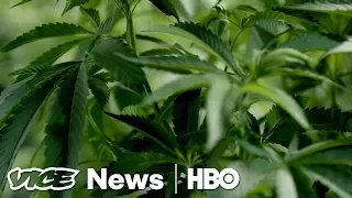 Weed for PTSD & John Lennon's Deportation: VICE News Tonight Full Episode (HBO)