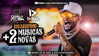 ATUALIZOU RICARDINHO FORRÓ IDEAL +2 MÚSICAS NOVAS NOVEMBRO 2022