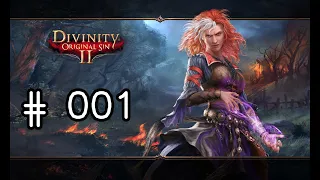 Let's Play: DIVINITY: ORIGINAL SIN II - INTRO [German][Blind][#001]