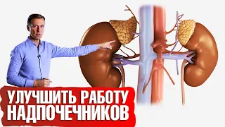 Усталость надпочечников? Есть решение✅