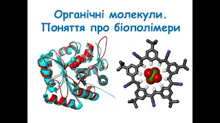 Органічні молекули  Біополімери