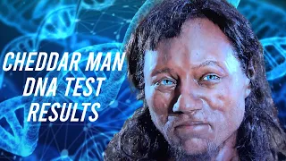 What Happens if Cheddar Man Takes a DNA Test?
