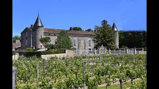 Attractive Château vineyard for sale near Bordeaux.