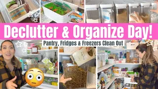 *DECLUTTER & ORGANIZE DAY* Pantry, Freezer & Refrigerator Clean Out & Organization Kitchen