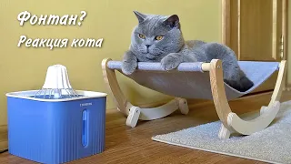 РЕАКЦИЯ КОТА на ФОНТАН поилку / Funny cat and fountain drinker