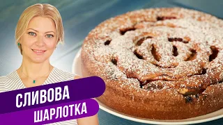 Пирог, который я готовлю каждый день - СЛИВОВАЯ ШАРЛОТКА / Татьяна Литвинова