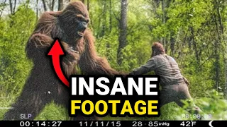 Chilling Trail Cam Compilation You Should Avoid Watching