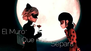 El muro que nos separa |AMV| Miraculous Ladybug| Emmanette 🌸