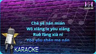 Gan ai gan dang - female - karaoke no vokal (angela ching) cover to lyrics pinyin